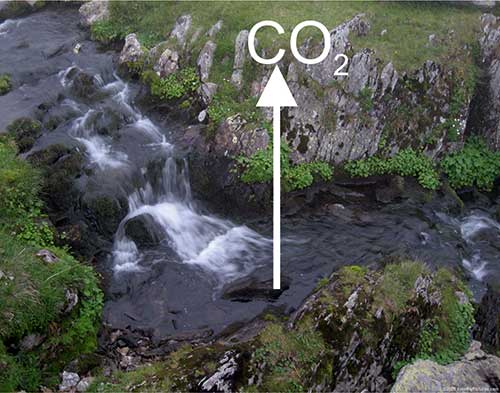 Channel wetted width for improved prediction of carbon dioxide evasion from streams