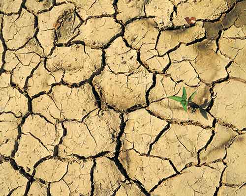 Desiccated mud