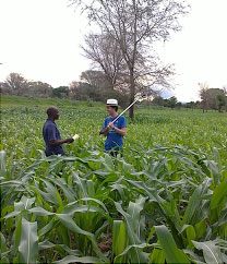 Fieldwork in Malawi