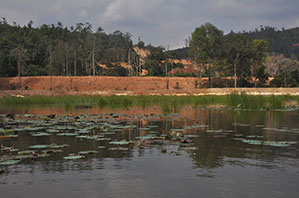 Tasik Chini Tasik Chini
